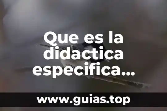 Qué es la muerte según 7 Que es la didactica especifica segun camilloni