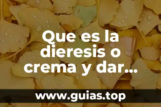 Por que es importante dar una introduccion de luna asignatura 3 Que es la dieresis o crema y dar ejemplos