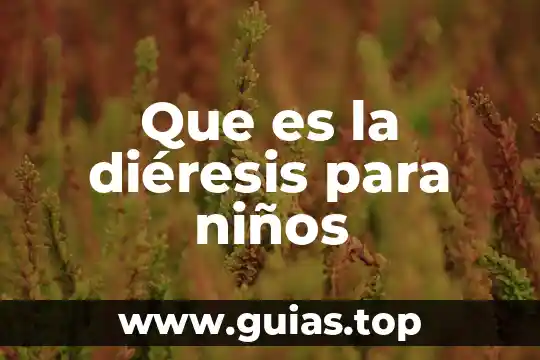 Que es la idea principal de un texto para niños 7 Que es la diéresis para niños