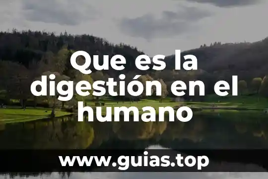 Qué es la fisiología del ser humano 7 Que es la digestión en el humano