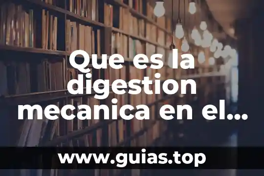 Que es ser un lince 6 Que es la digestion mecanica en el ser humano