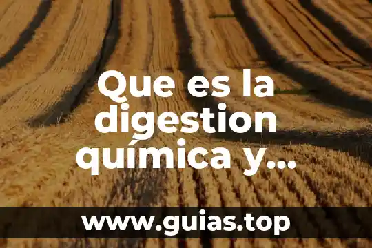 Que es un compuesto quimica en la biologia 4 Que es la digestion química y quienes interviene en ella