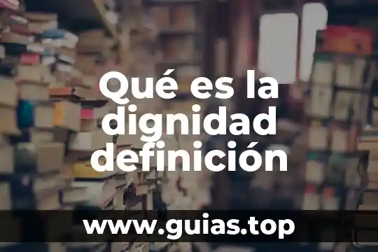 Qué es un equipo portuario definición 8 Qué es la dignidad definición