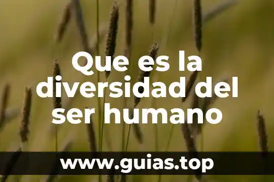 Que es ser diseñafor 3 Que es la diversidad del ser humano