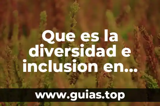 Que es el testamento maritimo en mexico 6 Que es la diversidad e inclusion en mexico resumido