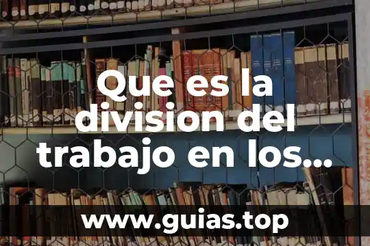 Por que es importante la division de poderesyahoo 4 Que es la division del trabajo en los cenros educativos