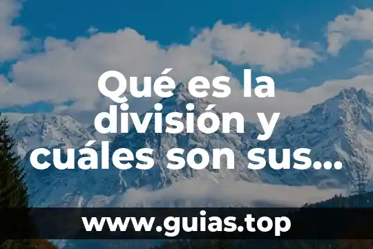 Que es temperamento y cuales son sus tipos 7 Qué es la división y cuáles son sus elementos