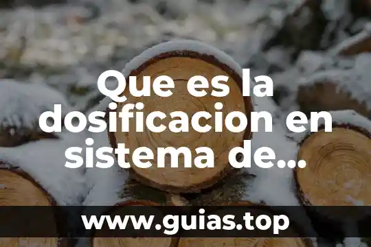 Que es significada concepto 8 Que es la dosificacion en sistema de lubricacion