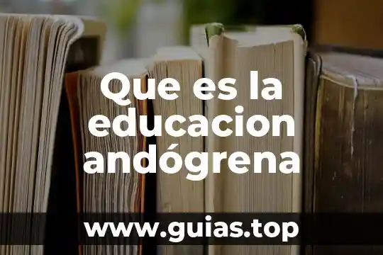 Qué es un número no geográfico 8 Que es la educacion andógrena
