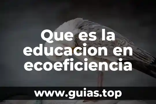 Que es pnce en educacion 8 Que es la educacion en ecoeficiencia