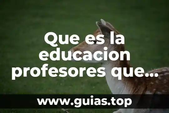 Que es devolucion en educacion 5 Que es la educacion profesores que no saben nada