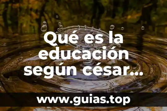 Qué es la educación según césar fréinet