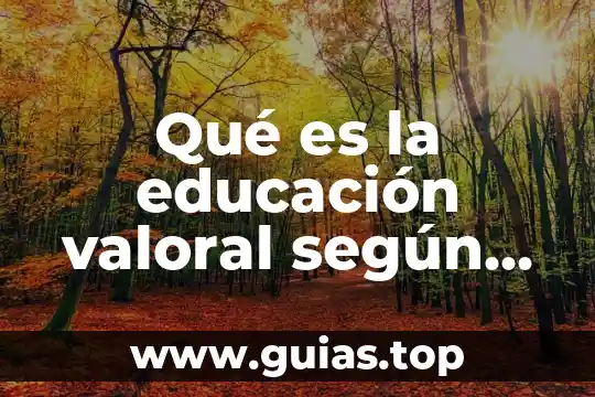 Que es la educacion profesores que no saben nada 6 Qué es la educación valoral según el autor Arana