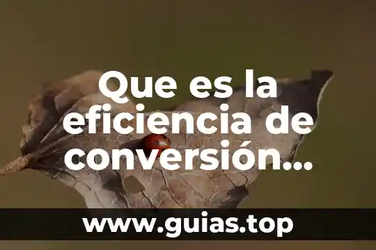 Conversion analogica digital que es 7 Que es la eficiencia de conversión solar