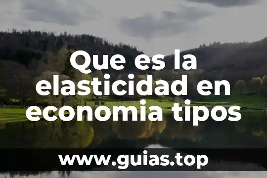 Que es la elasticidad en física 6 Que es la elasticidad en economia tipos