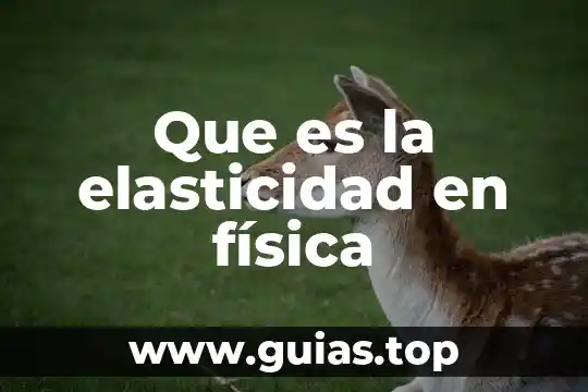 Que es la elasticidad en economia tipos 3 Que es la elasticidad en física