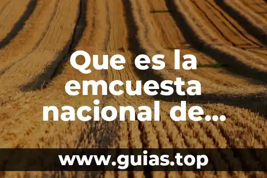 Que es el espionaje nacional 5 Que es la emcuesta nacional de lectura