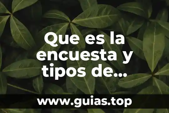 Que es una licitacion y tipos de licitación en compras 5 Que es la encuesta y tipos de encuesta