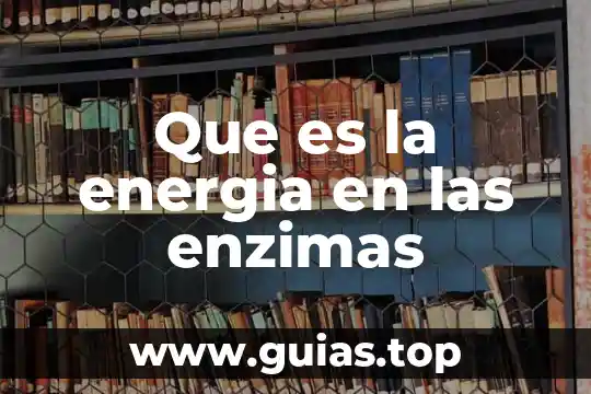 Qué es la energía en neuropsicología 3 Que es la energia en las enzimas