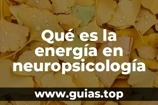 Qué es una capa conductora en la energía solar 3 Qué es la energía en neuropsicología