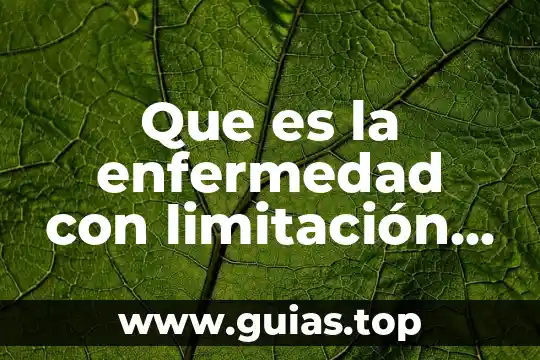 En que es consiste el sistema aereo del arbol frutal 3 Que es la enfermedad con limitación crónica del flujo aéreo