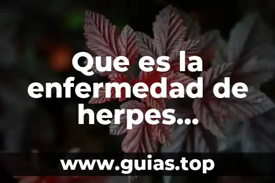 Qué es la enfermedad haemophilus ducreyi 3 Que es la enfermedad de herpes gonorrea y sifilis