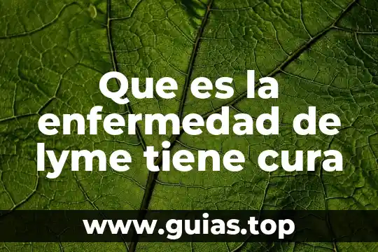 Que es la enfermedad de lyme tiene cura