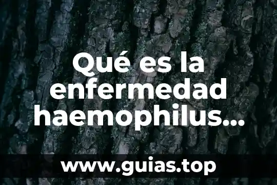 Que es la enfermedad de herpes gonorrea y sifilis 3 Qué es la enfermedad haemophilus ducreyi