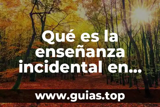 Qué es institución escolar definición 3 Qué es la enseñanza incidental en un servicio