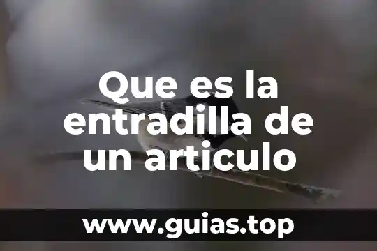 Que es tipos huelga que articulo 3 Que es la entradilla de un articulo