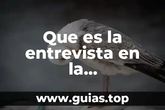 Qué es una entrevista y tipos 6 Que es la entrevista en la investigacion 2016