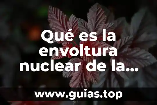Qué es una planta nuclear y un reactor nuclear 7 Qué es la envoltura nuclear de la célula eucariota