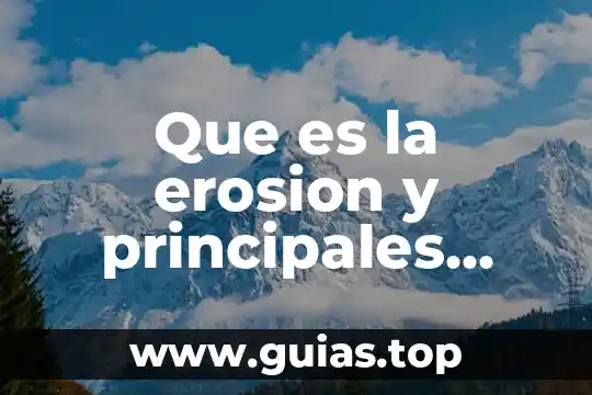 Que es el foro social mundial principales objetivos 6 Que es la erosion y principales tipos de erosión