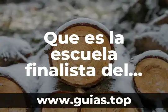 Que es el garantismo en derecho penal 6 Que es la escuela finalista del derecho penal