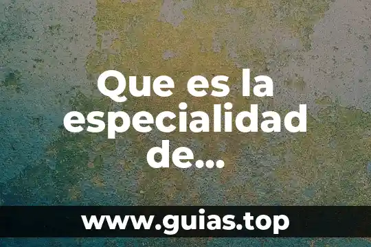 Que es n macro en word 6 Que es la especialidad de administracion