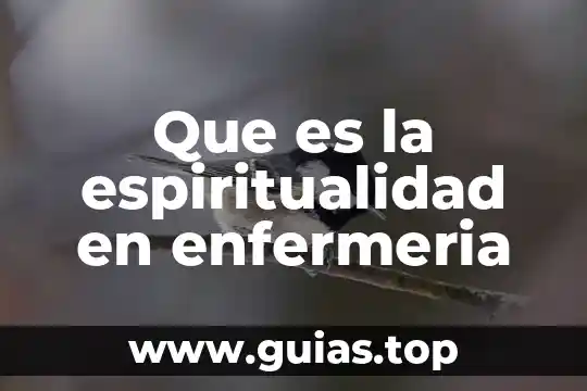 Que es el tipos debate 6 Que es la espiritualidad en enfermeria