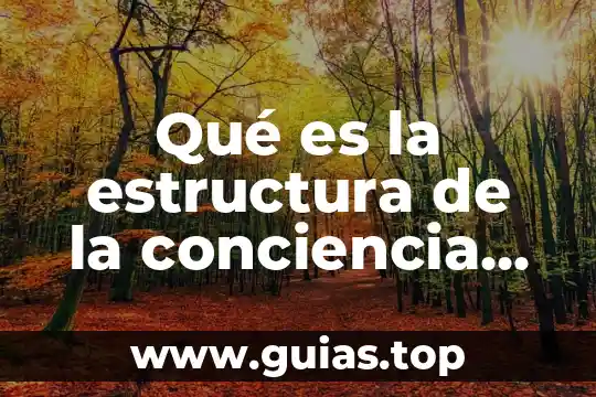 Que es ser maestra de educacion infantil 4 Qué es la estructura de la conciencia infantil