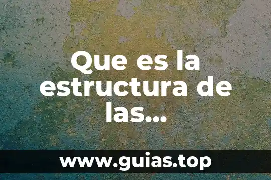 Que es ser social prezzi 3 Que es la estructura de las organizaciones prezzi