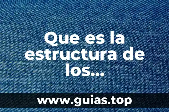 Que es un texto y su estructura 4 Que es la estructura de los cloroplastos
