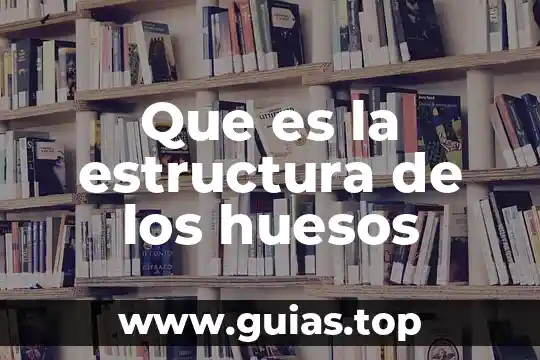Que es la estructura deportiva 4 Que es la estructura de los huesos