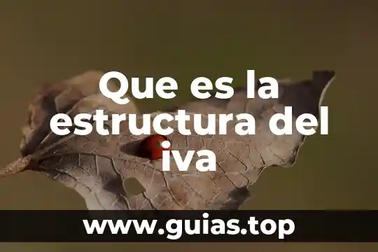 Que es el iva y sus tipos 7 Que es la estructura del iva