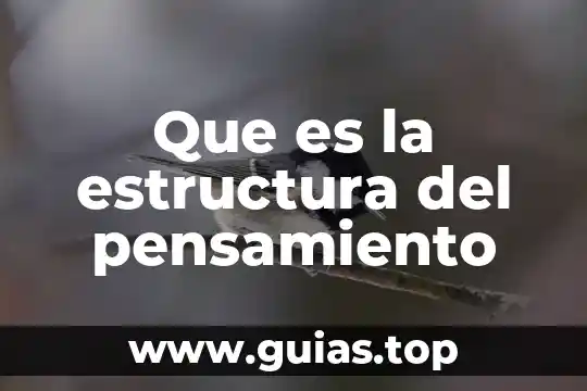 Que es el pensamiento lineal y sus caracteristicas 3 Que es la estructura del pensamiento