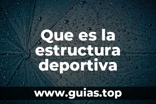 Que es una estructura autogeneradora 8 Que es la estructura deportiva