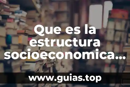 Que es una organizacion socioeconomica de mexico 5 Que es la estructura socioeconomica trabajos en unea