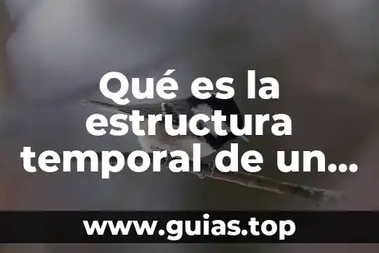 Que es estructura funcional en enfermeria 5 Qué es la estructura temporal de un cuento