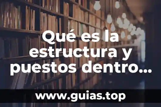 Que es la estructura deportiva 5 Qué es la estructura y puestos dentro de la administración