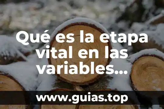 Que es el pensamiento vital gestion del mantenimiento 4 Qué es la etapa vital en las variables demográficas