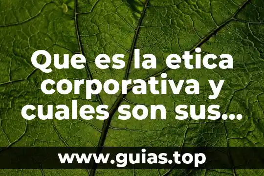 Qué es la cromatina y cuáles son sus tipos 5 Que es la etica corporativa y cuales son sus principios