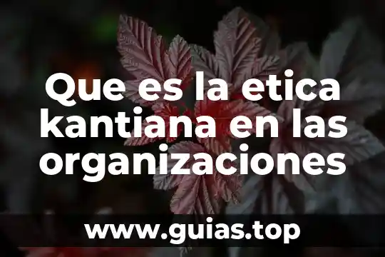 Que es ser competitivo para las organizaciones 7 Que es la etica kantiana en las organizaciones