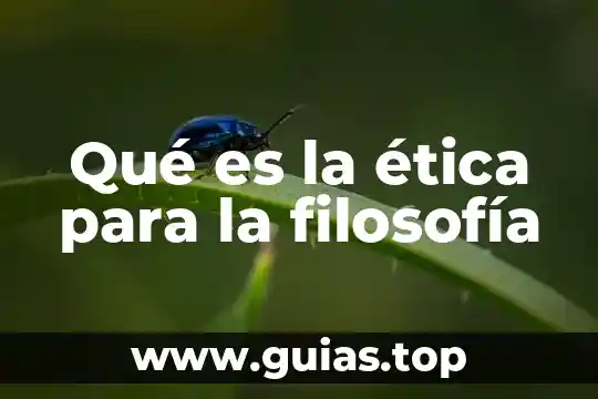 Que es el existencia de código de ética 8 Qué es la ética para la filosofía